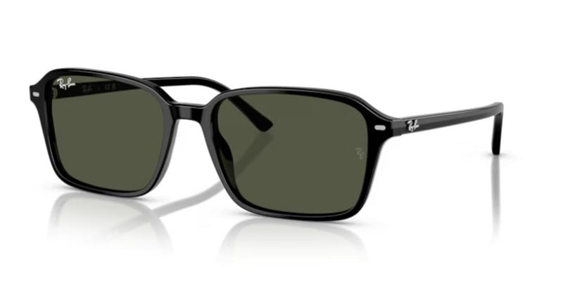 Ray-Ban RAIMOND RB 2231 Occhiali da sole 901/31