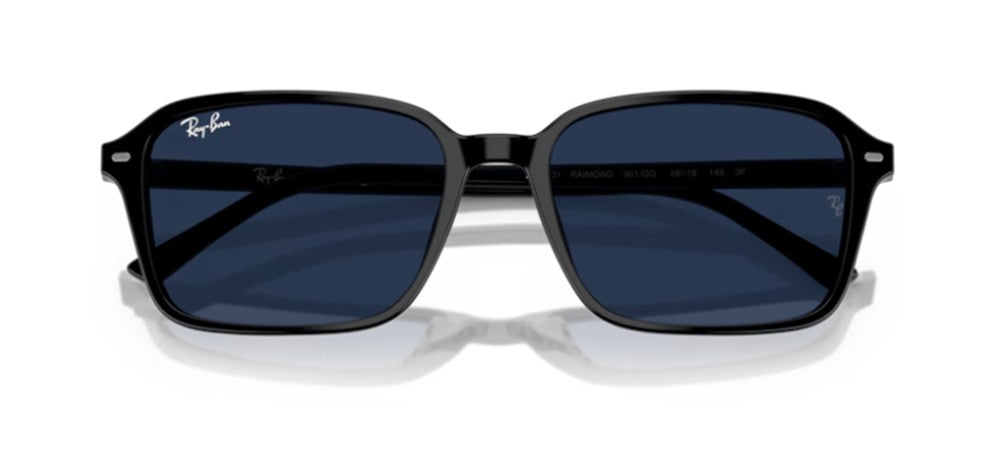 Ray-Ban RAIMOND RB 2231 Occhiali da sole 901/GG