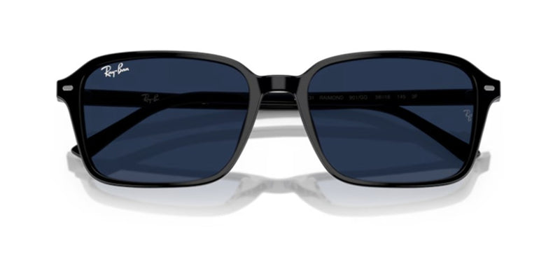 Ray-Ban RAIMOND RB 2231 Occhiali da sole 901/GG