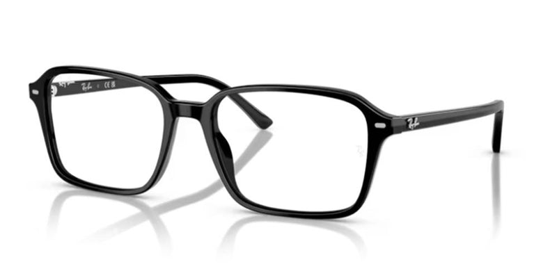 Ray-Ban RAIMOND RB 2231 Occhiali da sole 901/GG