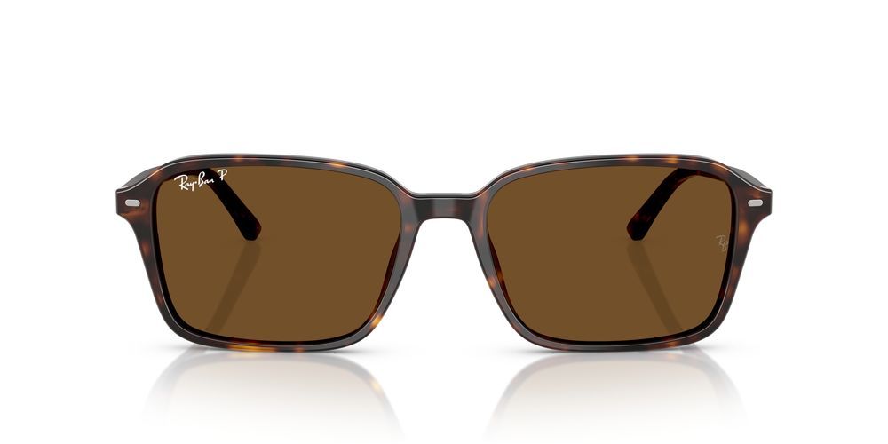 Ray-Ban RAIMOND RB 2231 Occhiali da sole 902/57