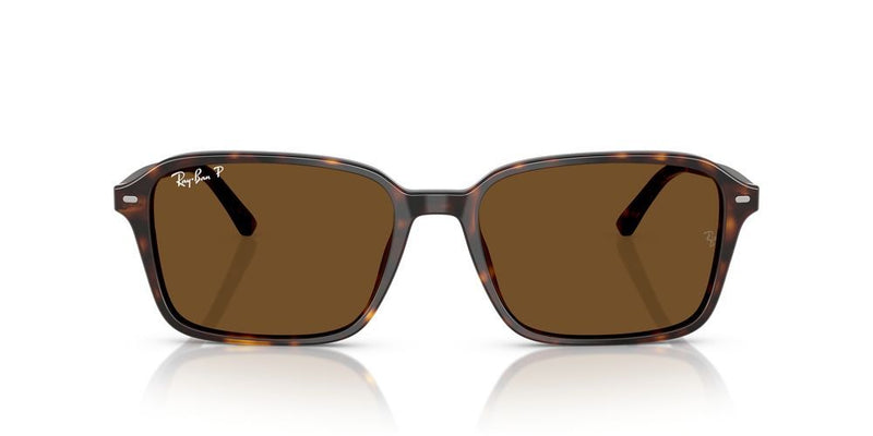 Ray-Ban RAIMOND RB 2231 Occhiali da sole 902/57