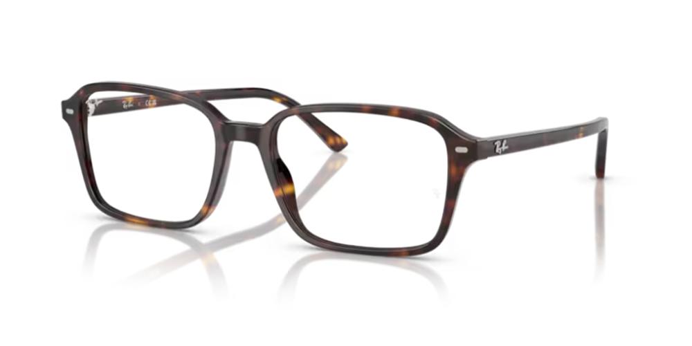 Ray-Ban RAIMOND RX 5431 Occhiali da vista 2012