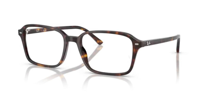 Ray-Ban RAIMOND RX 5431 Occhiali da vista 2012