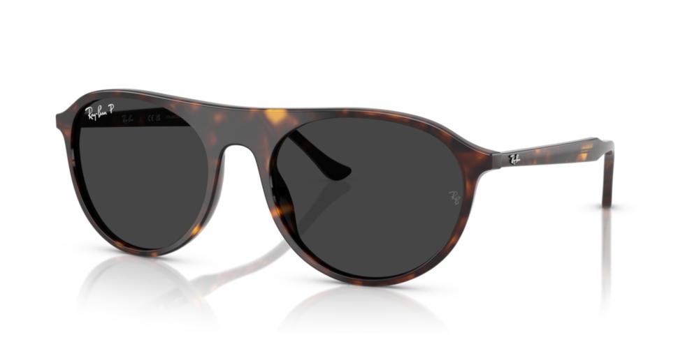 Ray-Ban RB 2215 Occhiali da sole 902/48