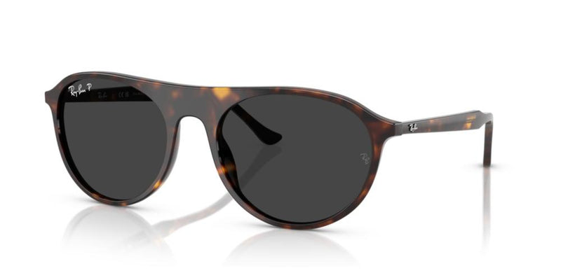 Ray-Ban RB 2215 Occhiali da sole 902/48