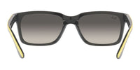 Ray-Ban RB 4393M Occhiali da sole F62411