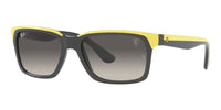 Ray-Ban RB 4393M Occhiali da sole F62411