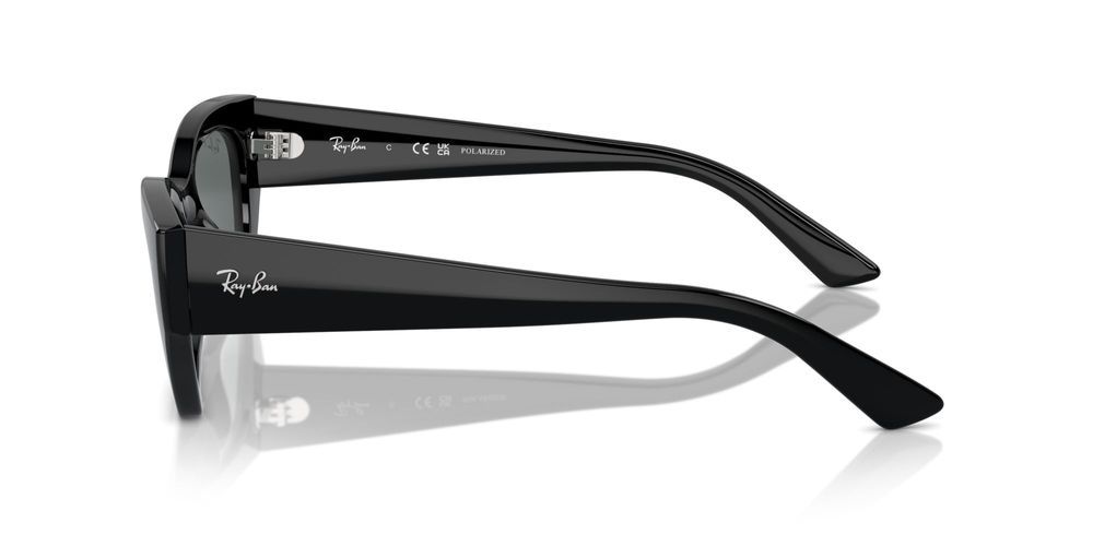 Ray-Ban RB 4430 Occhiali da sole 6677/81