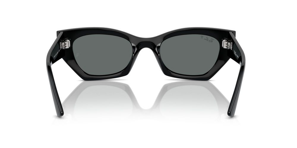 Ray-Ban RB 4430 Occhiali da sole 6677/81