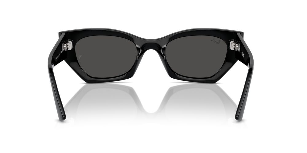 Ray-Ban RB 4430 Occhiali da sole 6677/87