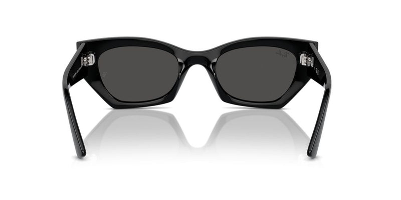 Ray-Ban RB 4430 Occhiali da sole 6677/87
