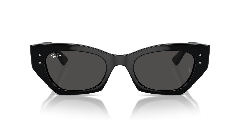 Ray-Ban RB 4430 Occhiali da sole 6677/87
