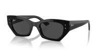 Ray-Ban RB 4430 Occhiali da sole 6677/87