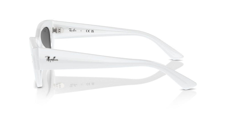 Ray-Ban RB 4430 Occhiali da sole 675911