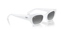 Ray-Ban RB 4430 Occhiali da sole 675911