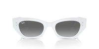 Ray-Ban RB 4430 Occhiali da sole 675911