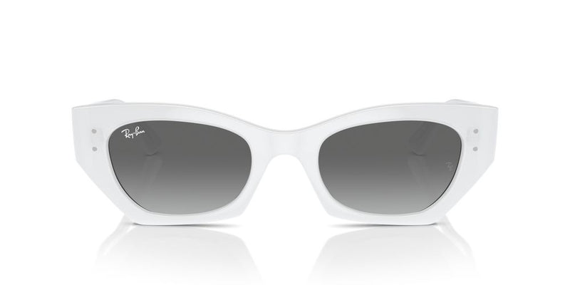 Ray-Ban RB 4430 Occhiali da sole 675911