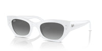 Ray-Ban RB 4430 Occhiali da sole 675911