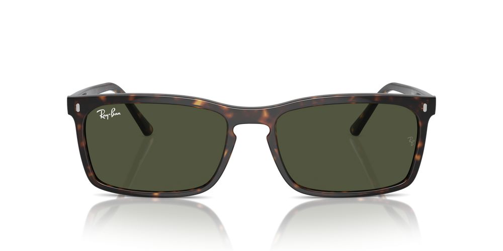 Ray-Ban RB 4435 Occhiali da sole 902/31H