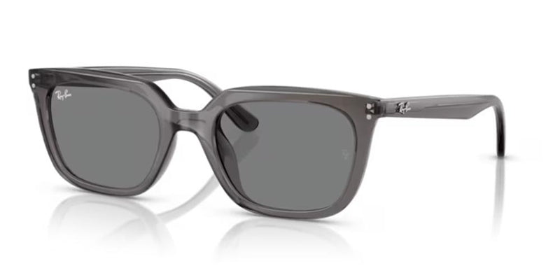Ray-Ban RB 4439D Occhiali da sole 667587
