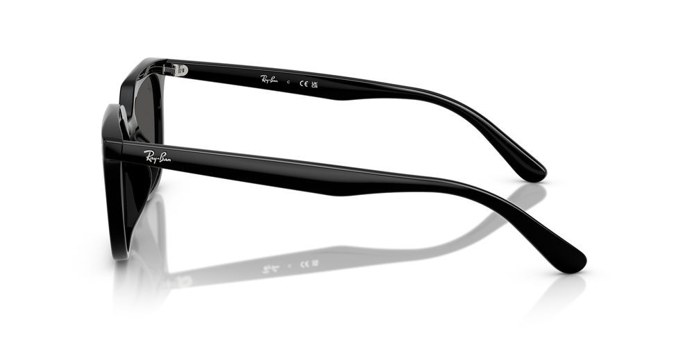 Ray-Ban RB 4439D Occhiali da sole 901/87