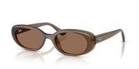 Ray-Ban RB 4441D Occhiali da sole 677973