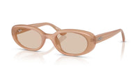 Ray-Ban RB 4441D Occhiali da sole 678793