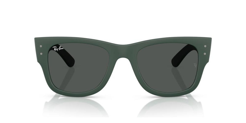 Ray-Ban RB 4840S Occhiali da sole 665787