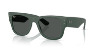Ray-Ban RB 4840S Occhiali da sole 665787