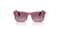 Ray-Ban RB  9084S Occhiali da sole 71498H