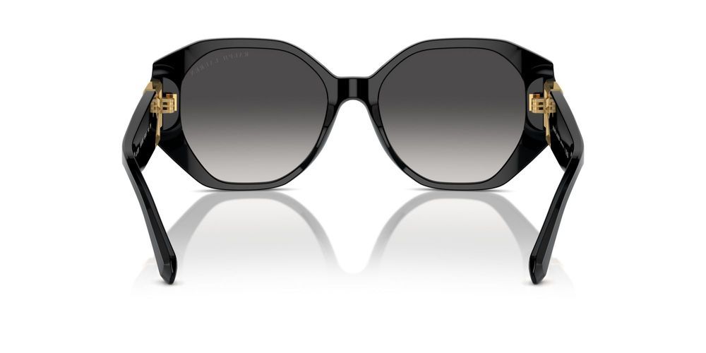 Ralph Lauren RL 8220 Occhiali da sole 50018G