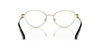 Swarovski SK1002 Occhiali da vista 4013