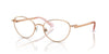 Swarovski SK1002 Occhiali da vista 4014