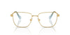 Swarovski SK1003 Occhiali da vista 4021