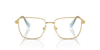 Swarovski SK1003 Occhiali da vista 4021