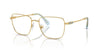 Swarovski SK1003 Occhiali da vista 4021