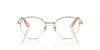 Swarovski SK1004 Occhiali da vista 4014