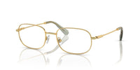 Swarovski SK1005 Occhiali da vista 4004
