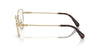 Swarovski SK1007 Occhiali da vista 4013