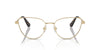 Swarovski SK1007 Occhiali da vista 4013