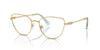 Swarovski SK1007 Occhiali da vista 4021
