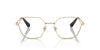Swarovski SK1011 Occhiali da vista 4013