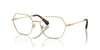 Swarovski SK1011 Occhiali da vista 4013