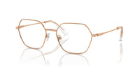 Swarovski SK1011 Occhiali da vista 4014