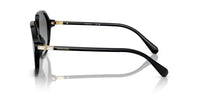 Swarovski SK6003 Occhiali da sole 100111