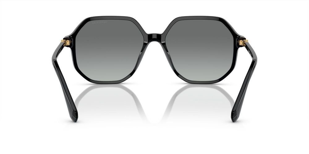 Swarovski SK6003 Occhiali da sole 100111