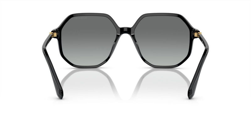 Swarovski SK6003 Occhiali da sole 100111