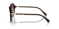 Swarovski SK6003 Occhiali da sole 100213