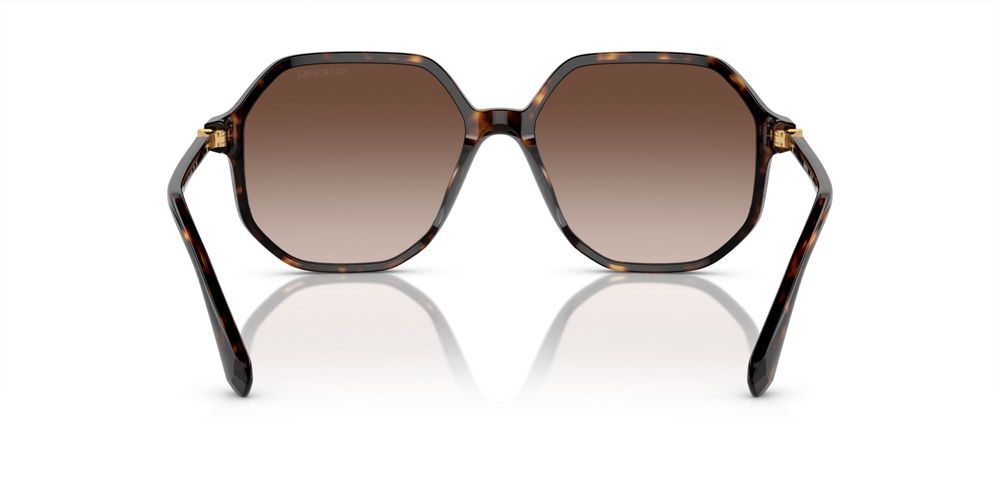 Swarovski SK6003 Occhiali da sole 100213
